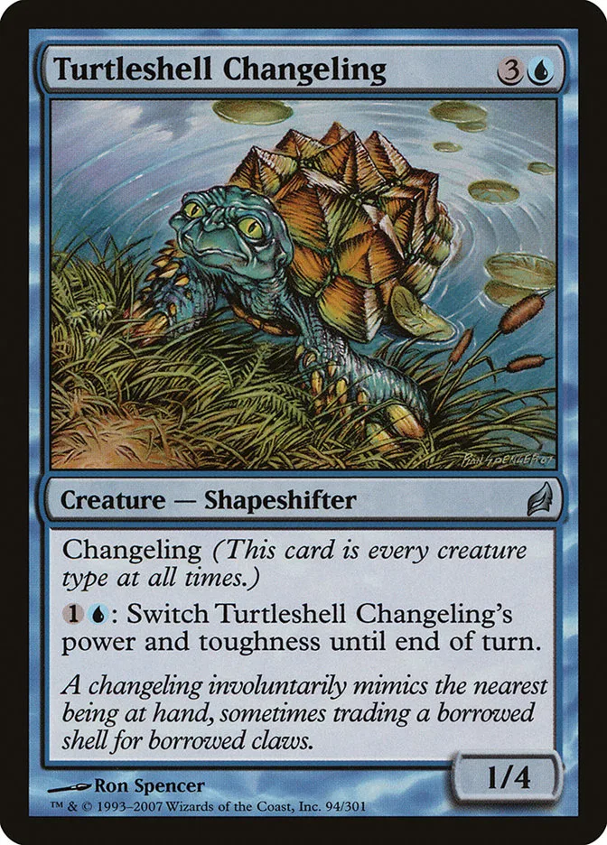 Turtleshell Changeling image 1