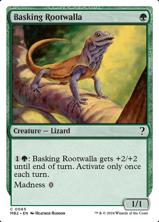 Basking Rootwalla image 4