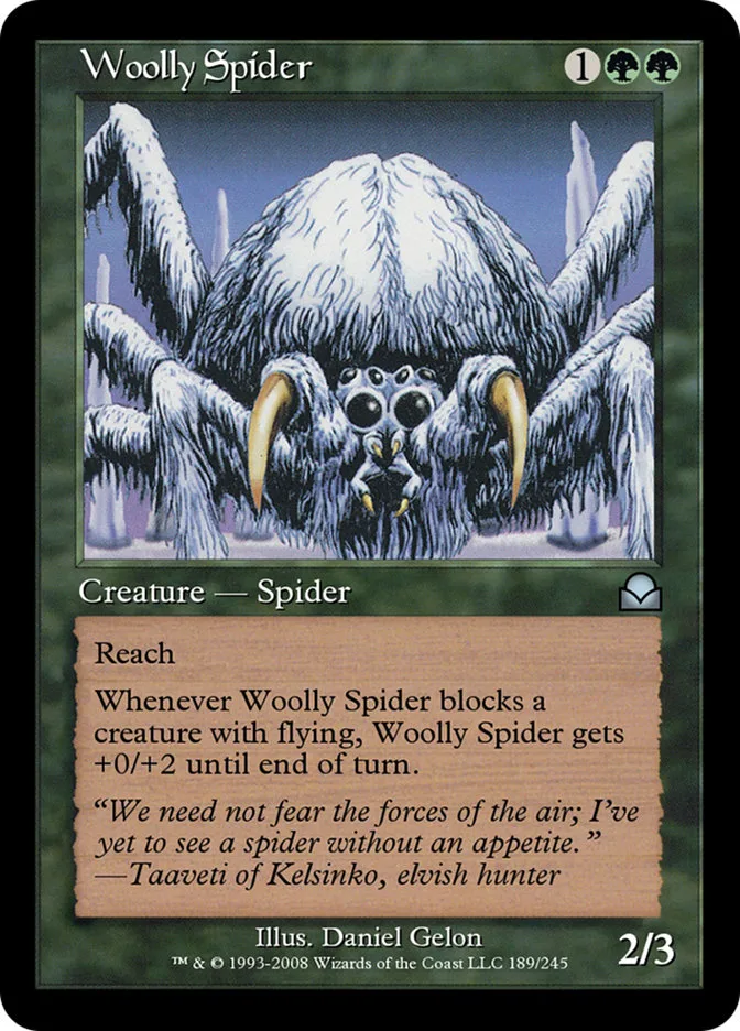 Woolly Spider image 4