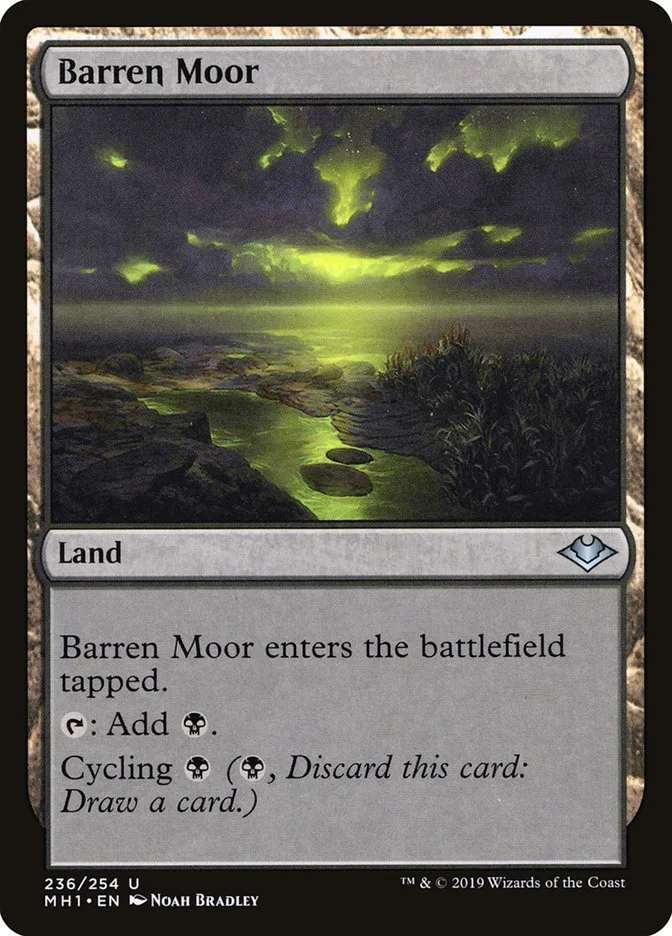 Barren Moor image 8