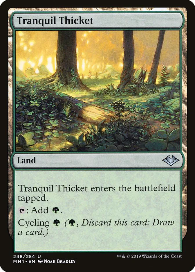 Tranquil Thicket image 8