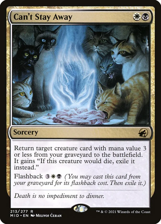 Can't Stay Away image 2