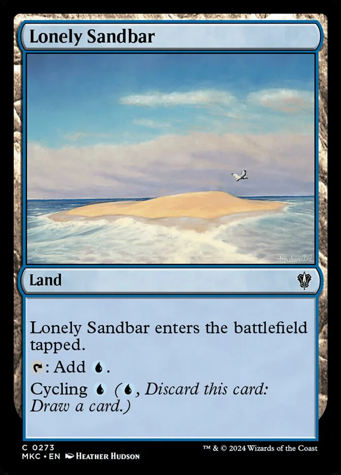 Lonely Sandbar image 8