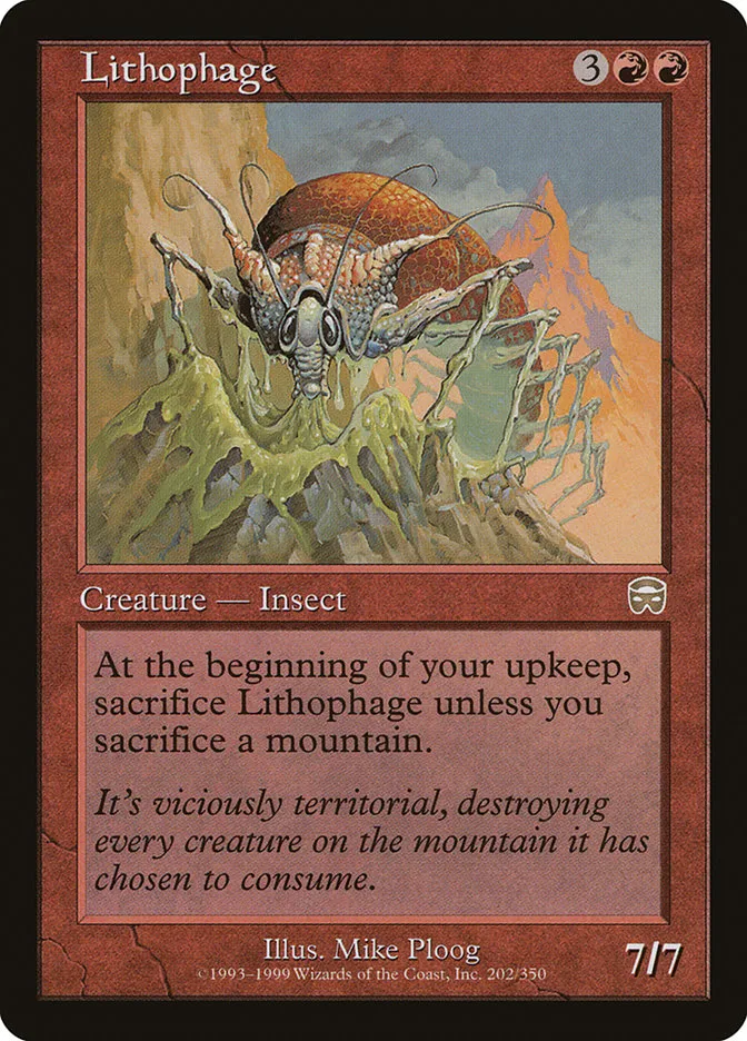 Lithophage image 2