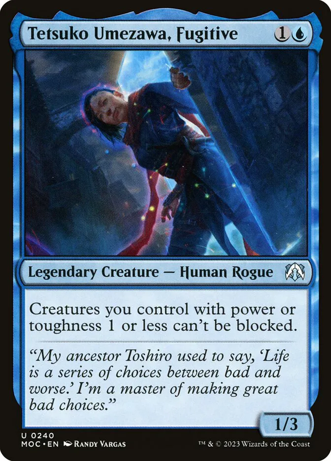 Tetsuko Umezawa, Fugitive image 9