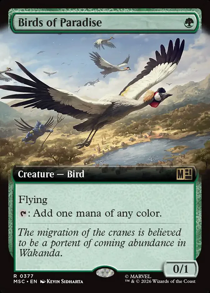 Birds of Paradise image 35