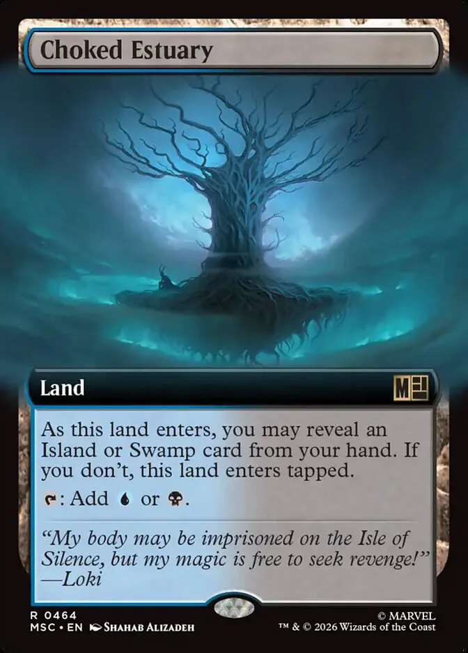 Choked Estuary image 18
