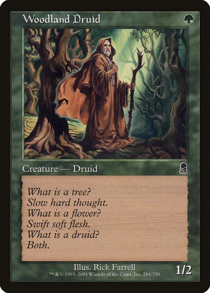 Woodland Druid image 1