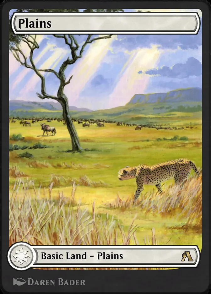 Plains image 364