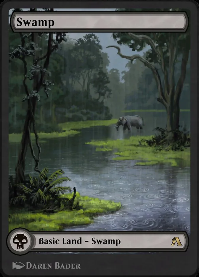 Swamp image 384