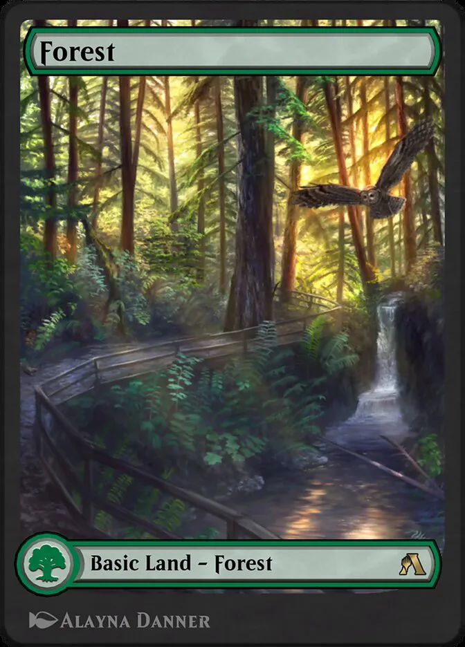 Forest image 341