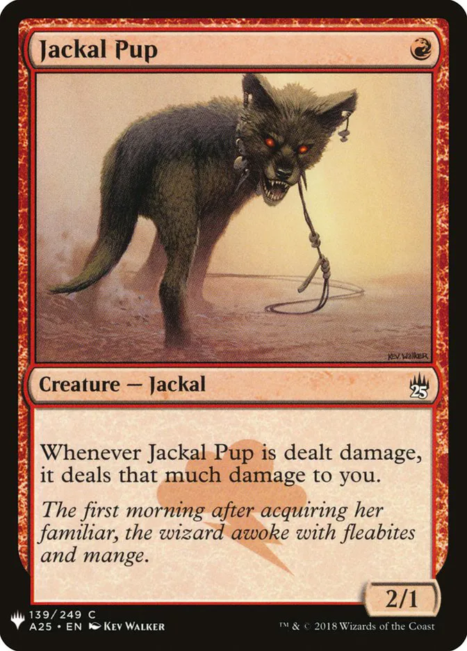 Jackal Pup image 6