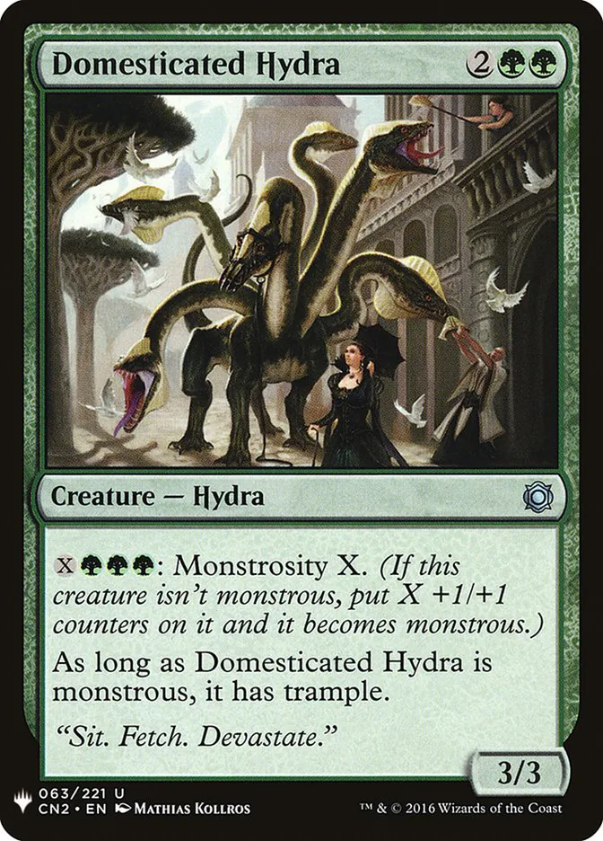 Domesticated Hydra image 4