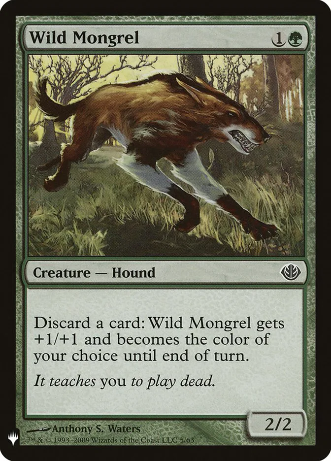 Wild Mongrel image 11