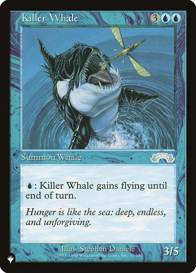 Killer Whale image 5