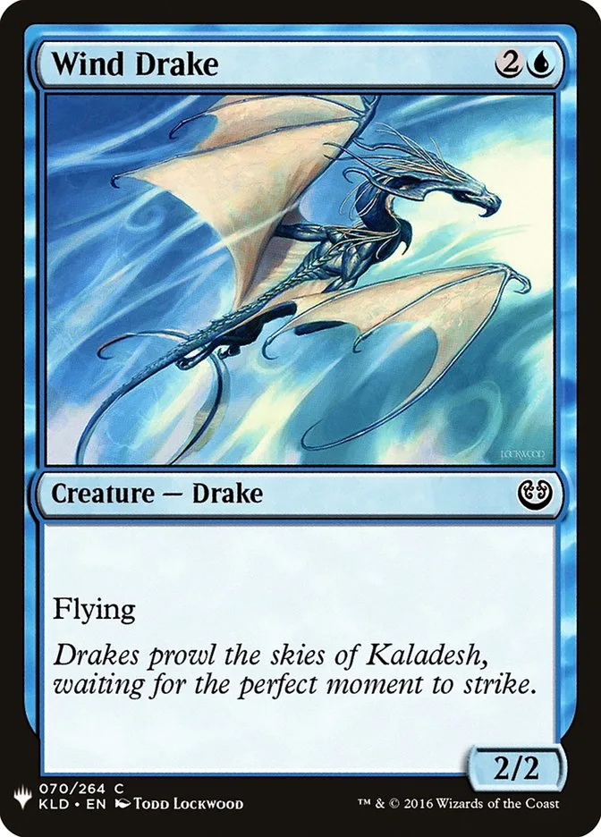 Wind Drake image 18