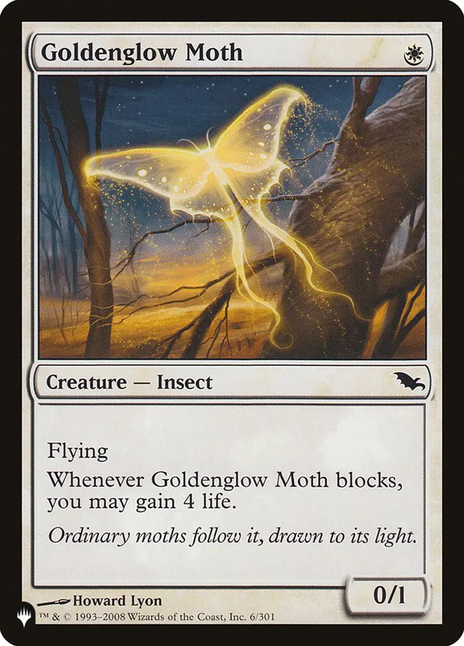 Goldenglow Moth image 3