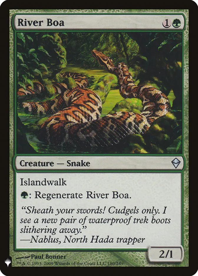 River Boa image 11