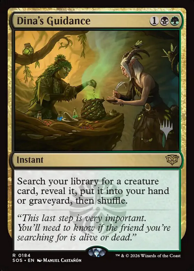 Dina's Guidance image 2