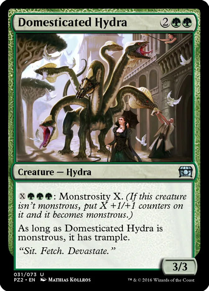 Domesticated Hydra image 1