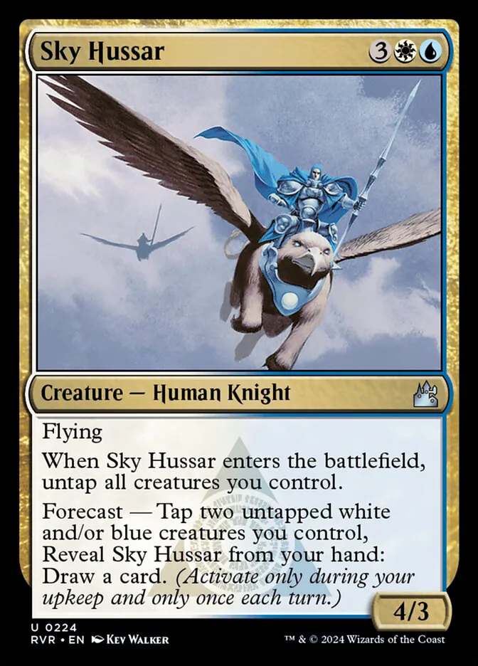 Sky Hussar image 3