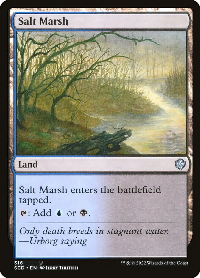 Salt Marsh image 1