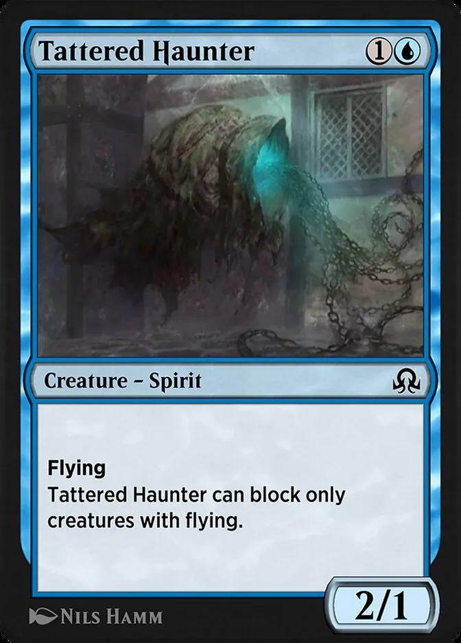 Tattered Haunter image 2