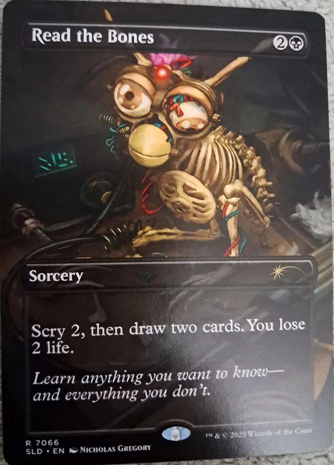 Read the Bones image 14