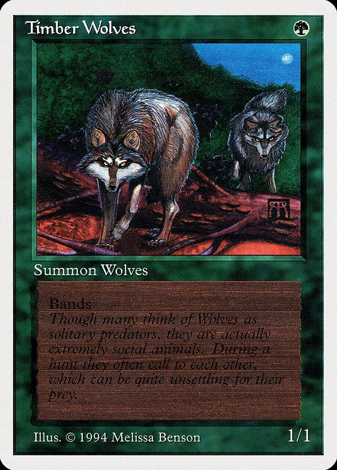 Timber Wolves image 4