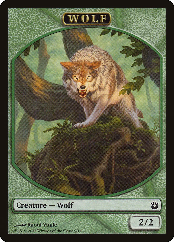 Wolf image 7