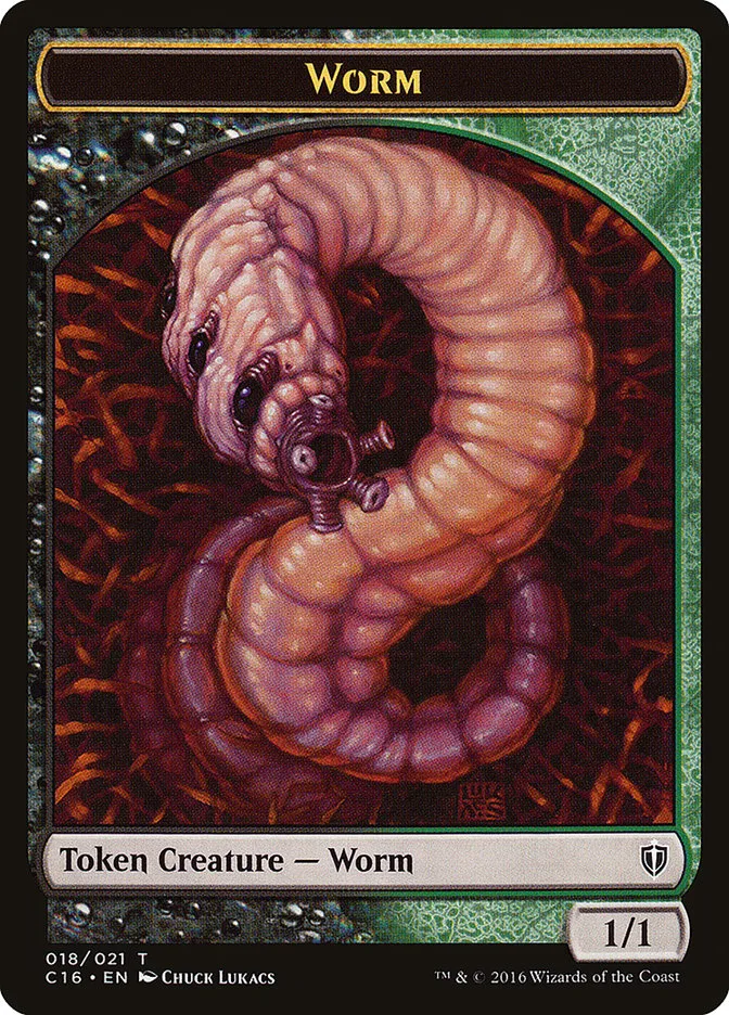 Worm image 5