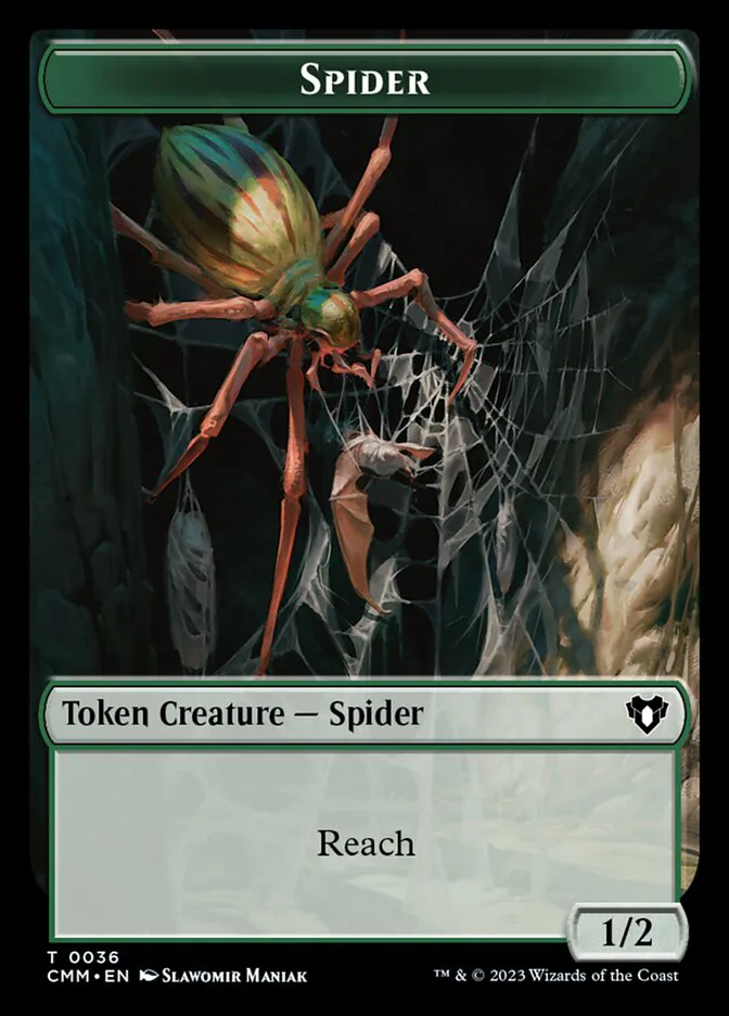 Spider image 16