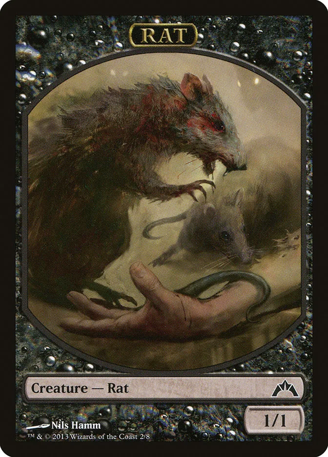 Rat image 1