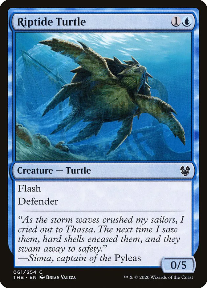 Riptide Turtle image 1