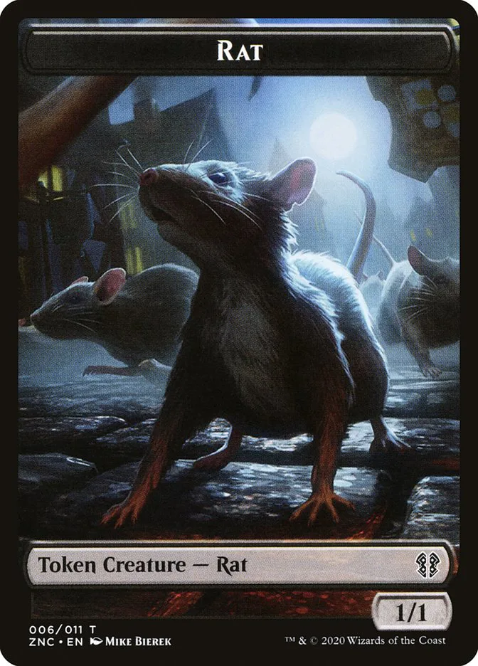 Rat image 6