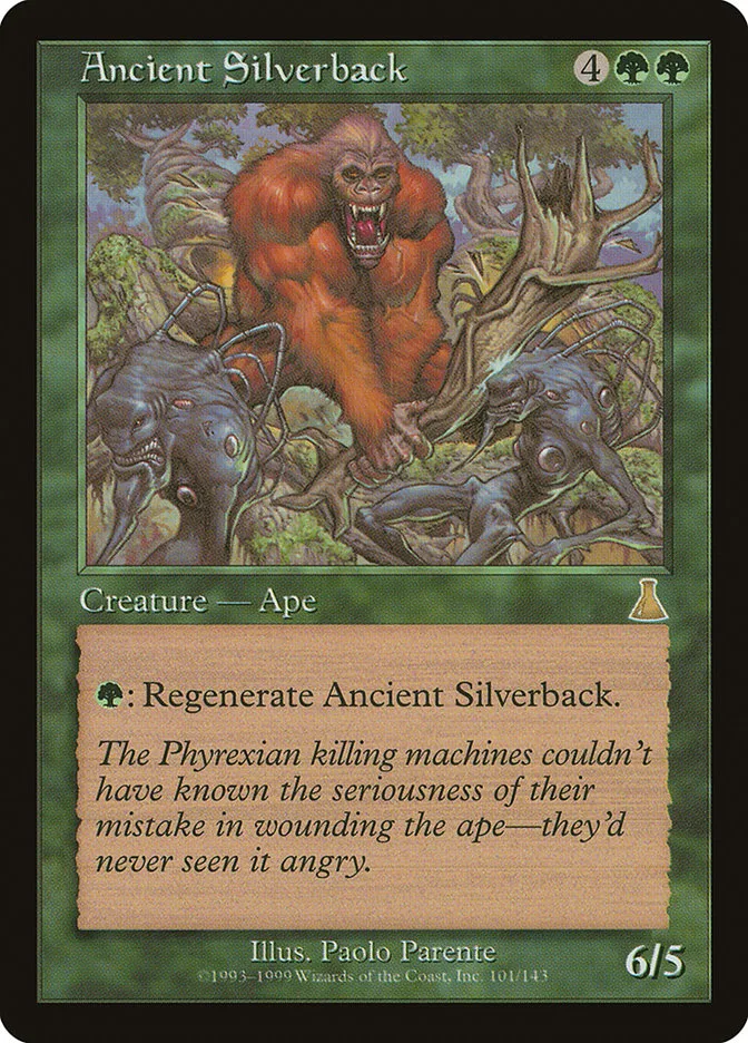 Ancient Silverback image 1