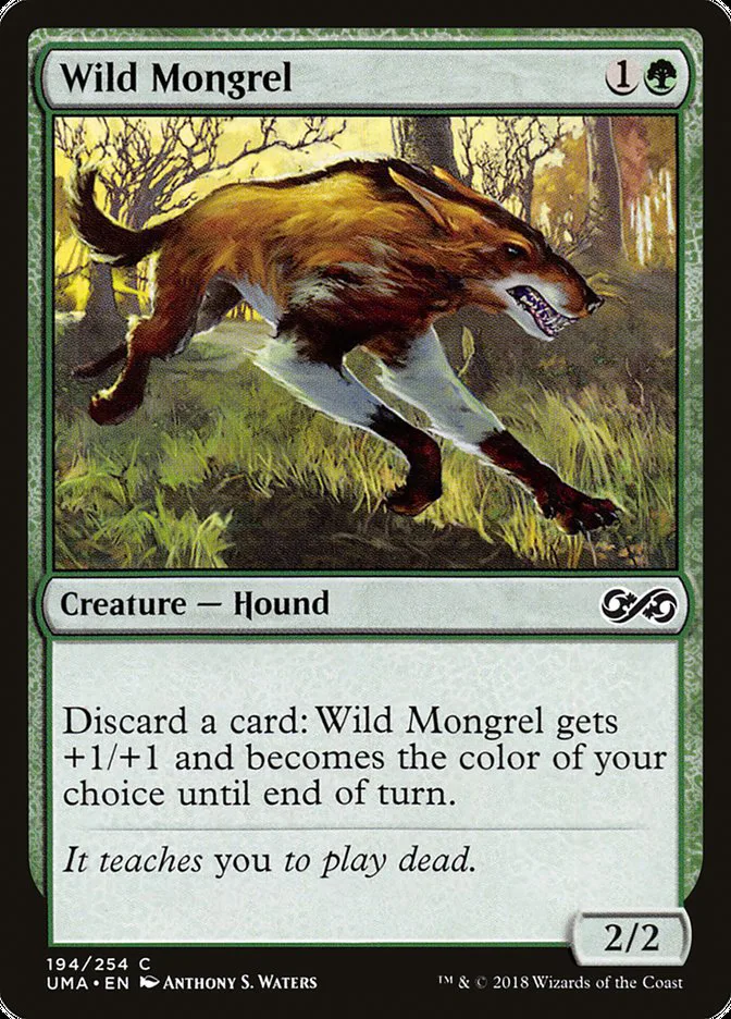 Wild Mongrel image 4