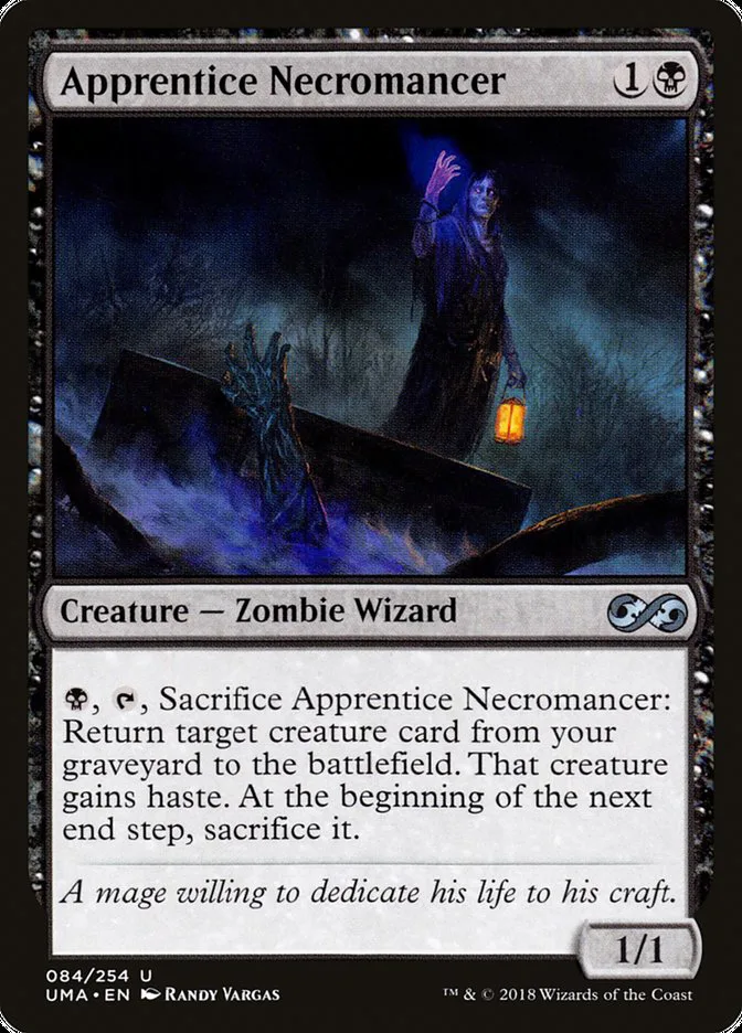 Apprentice Necromancer image 2