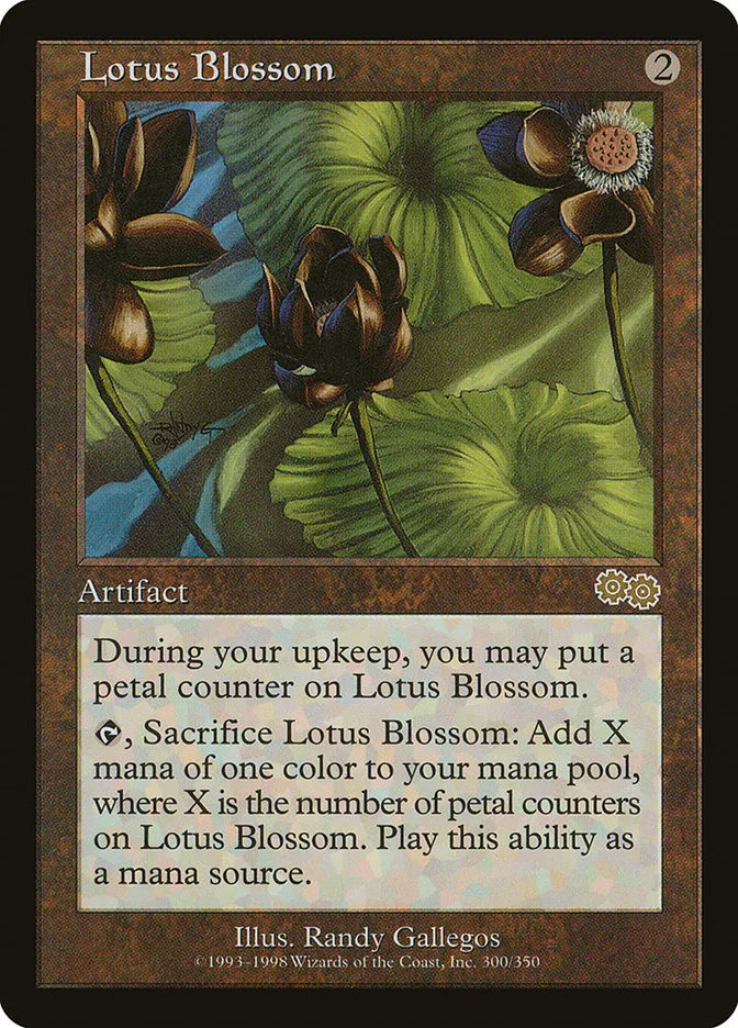 Lotus Blossom image 2