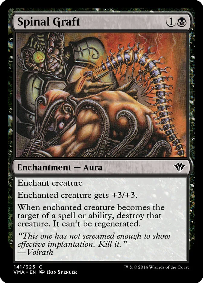 Spinal Graft image 2