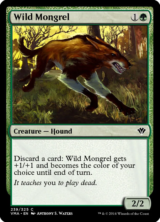 Wild Mongrel image 5