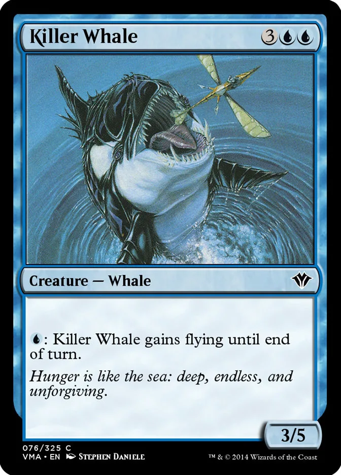 Killer Whale image 4