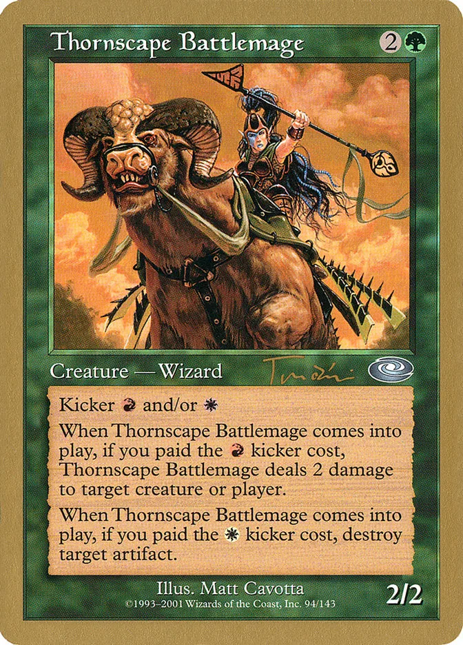 Thornscape Battlemage image 6