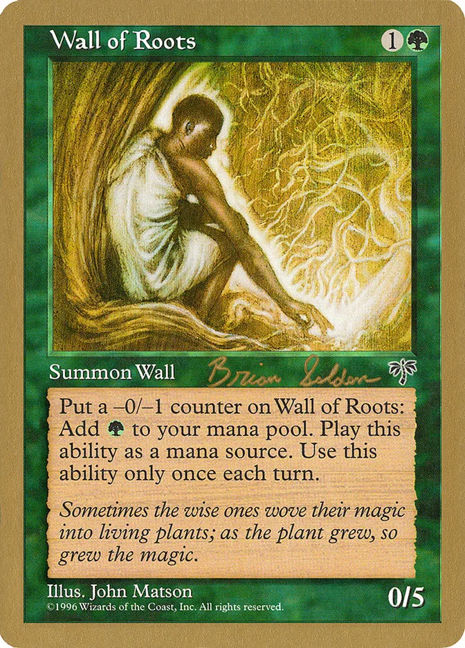 Wall of Roots image 10