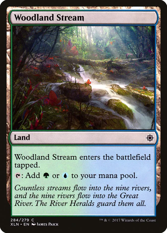 Woodland Stream image 7
