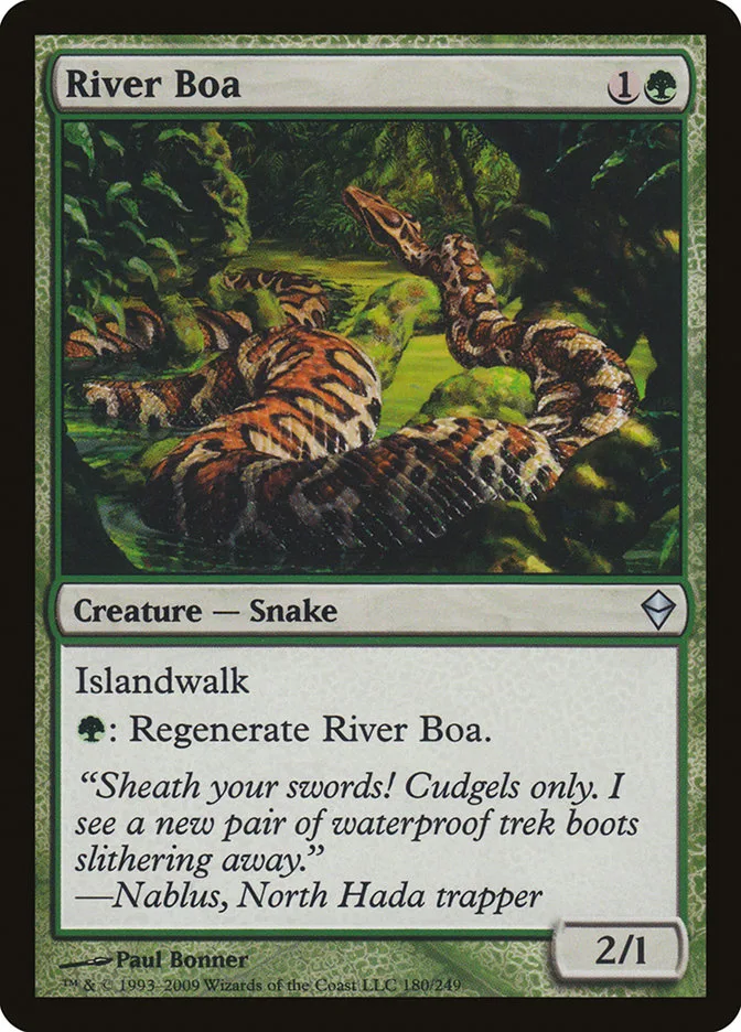 River Boa image 6